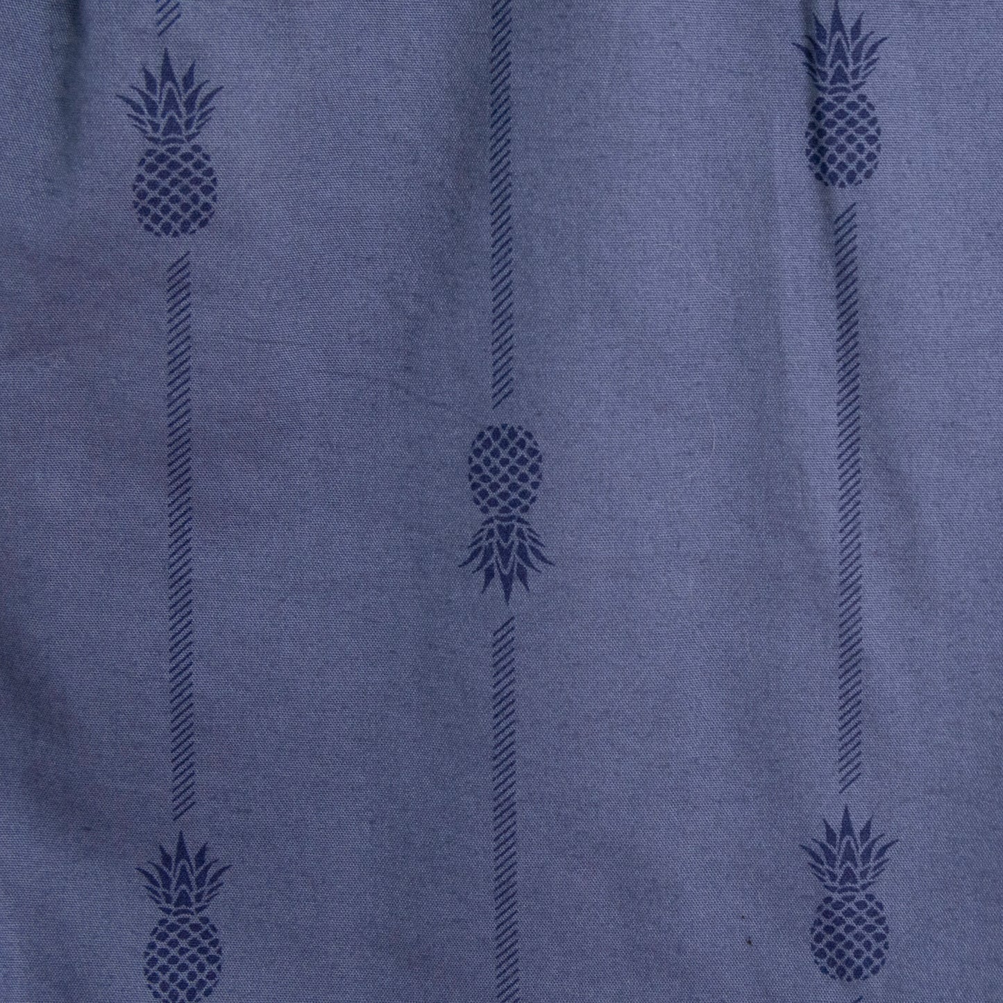 Camisa estampada azul (S) Goodfellow