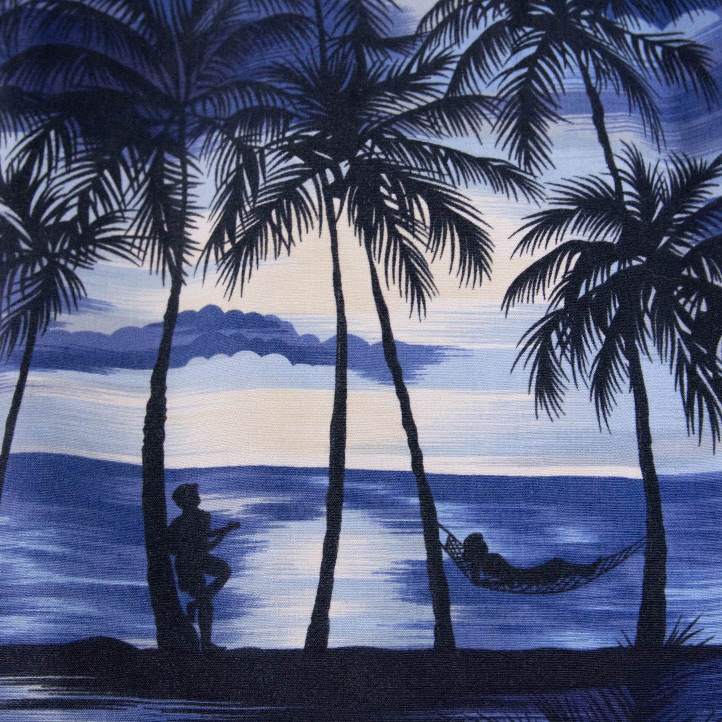 Camisa hawaiana azul (3XL) RJC