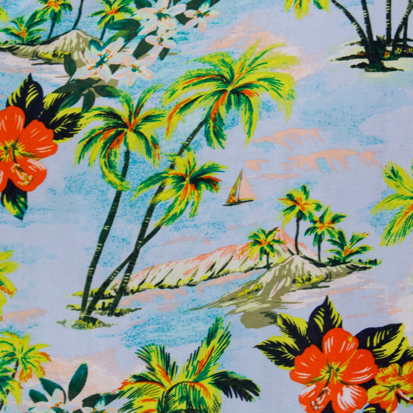 Camisa hawaiana azul (2XL) George