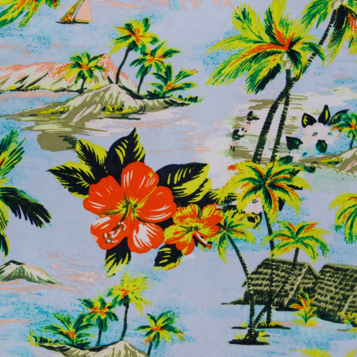 Camisa hawaiana azul (2XL) George