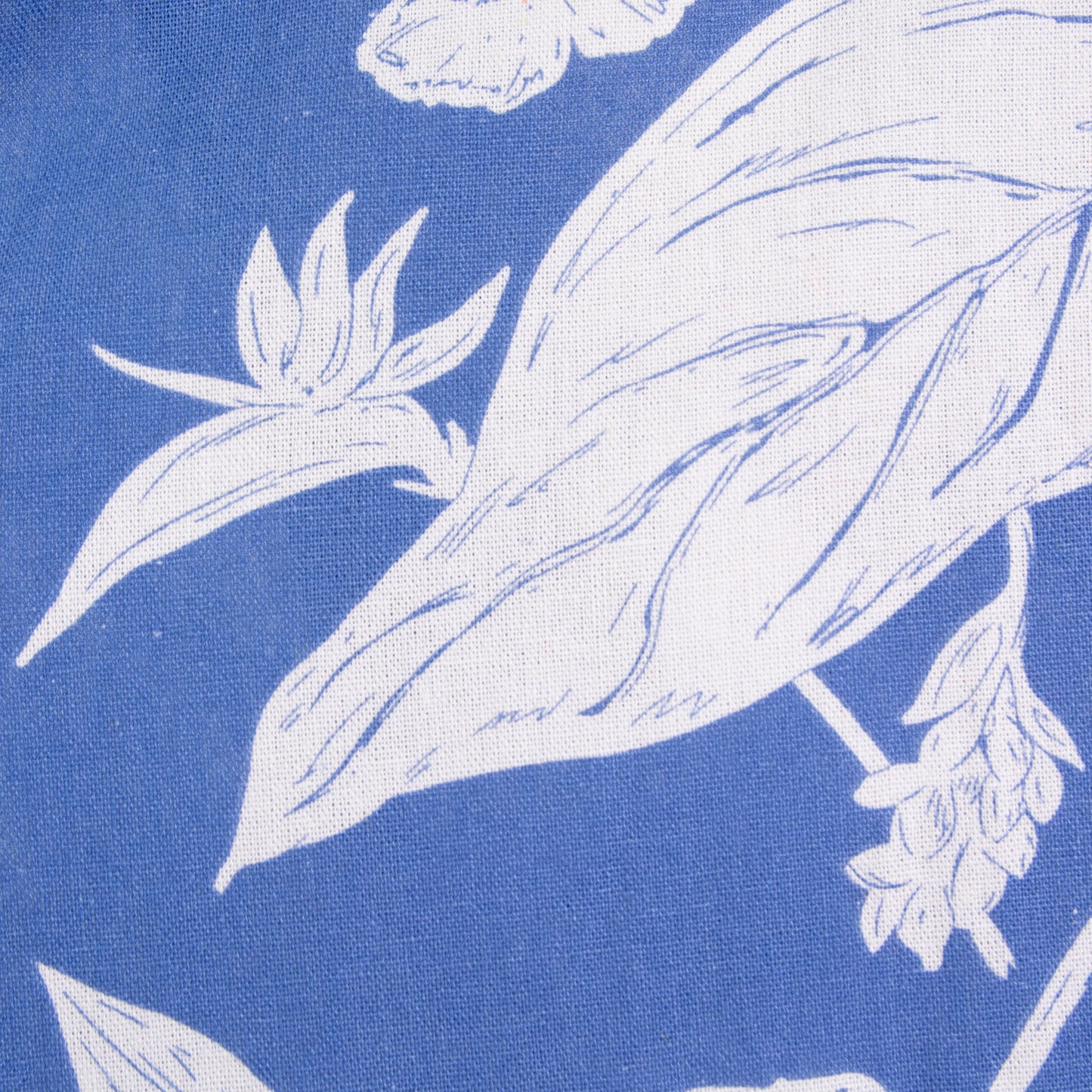 Camisa hawaiana azul (L) Fresco lab