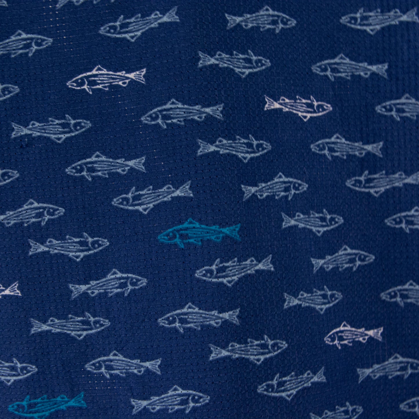 Camisa estampada azul marino (2XL) Croft&Barrow