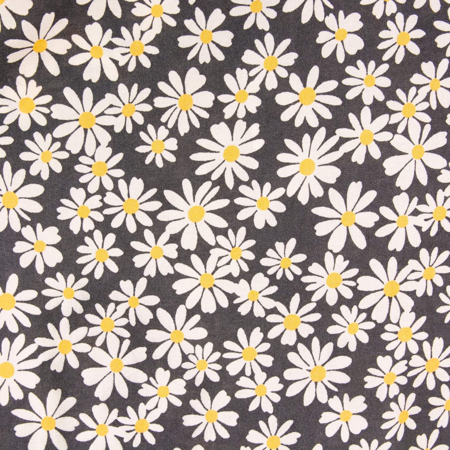 Camisa estampada negro (2XL) American Eagle