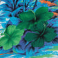 Camisa hawaiana azul (S) Bruno Boys