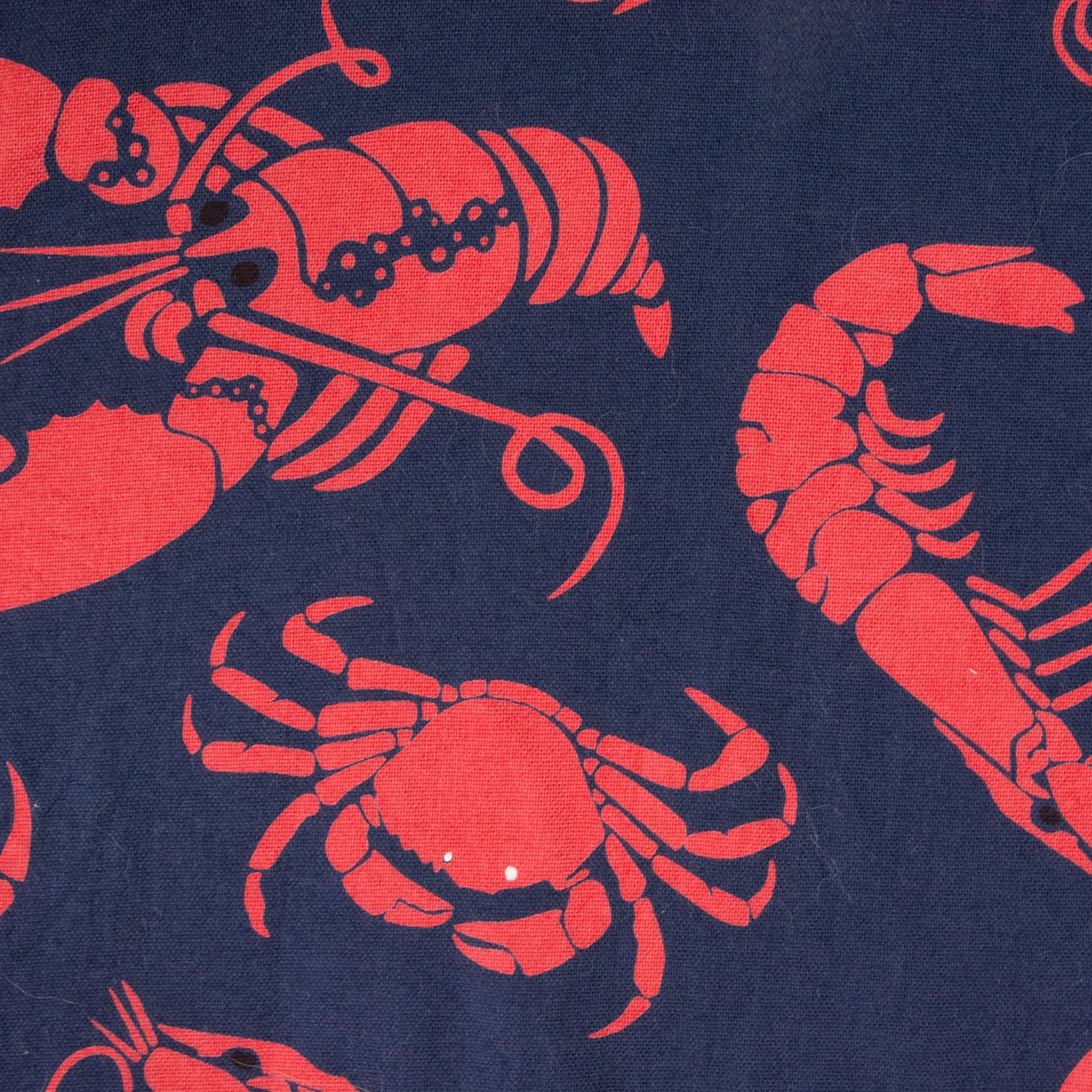 Camisa estampada azul (L) Artistry in motion