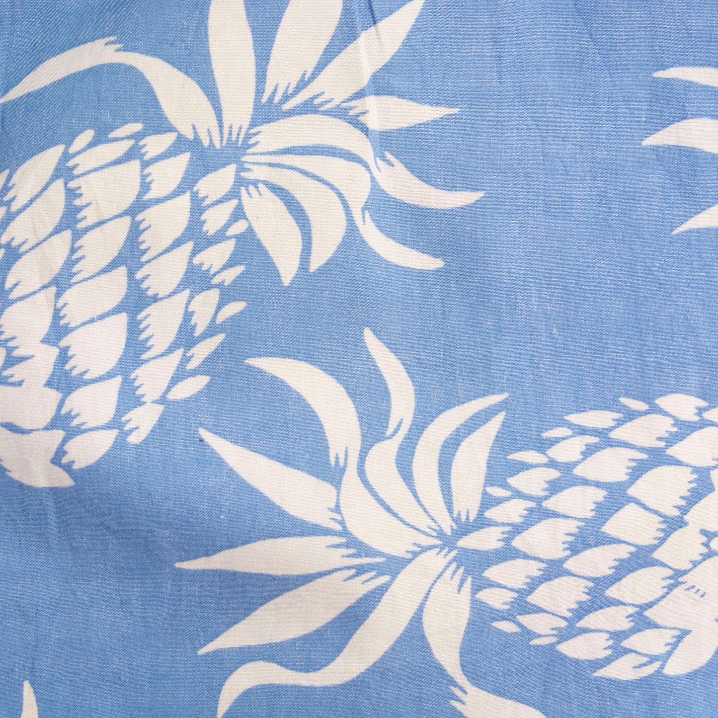 Camisa estampada azul (S) RJC