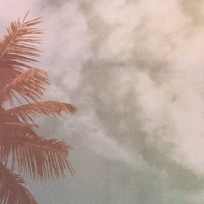 camisa hawaiana multicolor (2XL) Art class