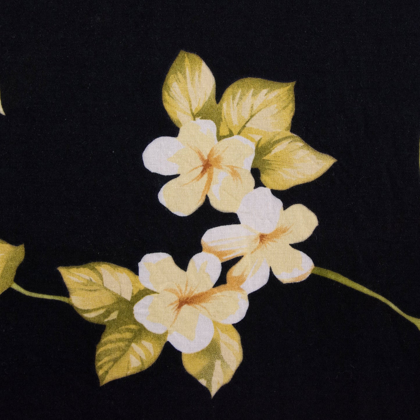 Camisa hawaiana negro (4XL) Paradise Found