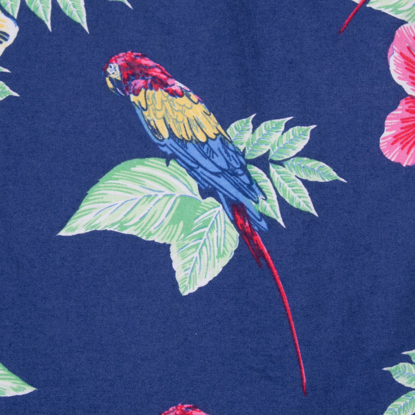 Camisa hawaiana azul (XS) Goodfellow