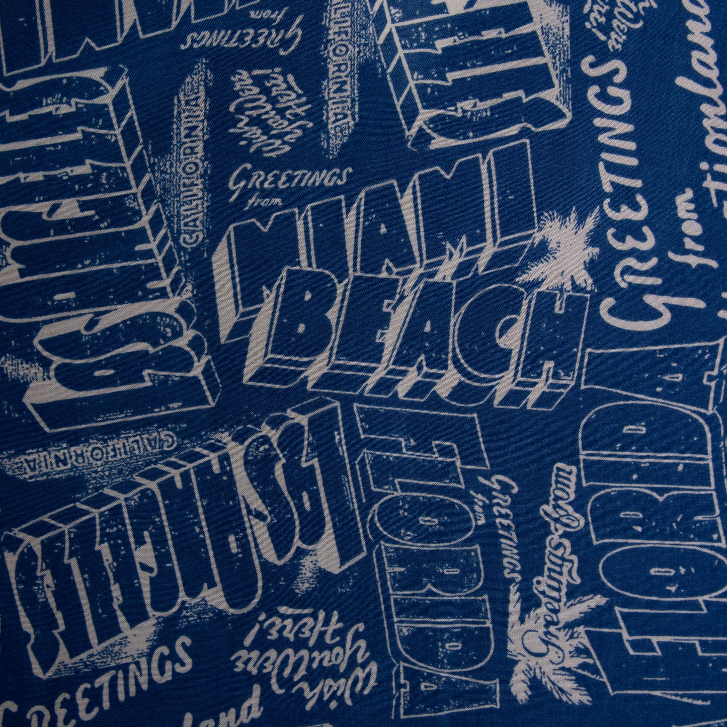 Camisa estampada azul (2XL) Goodfellow
