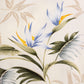 Camisa hawaiana beige (XL) Paradise Found
