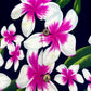 Camisa hawaiana negro (L) Favant